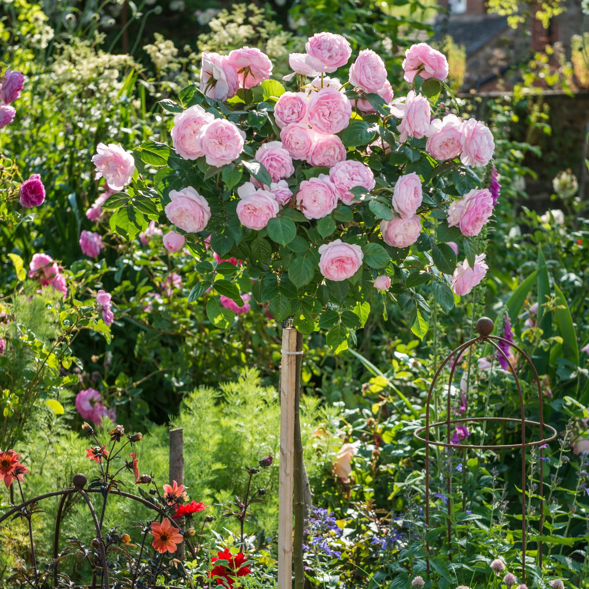 Best For Flowering